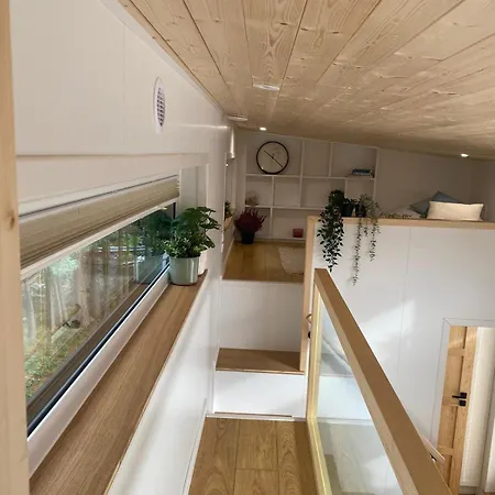 Tiny House Auf Blaubeerfeld